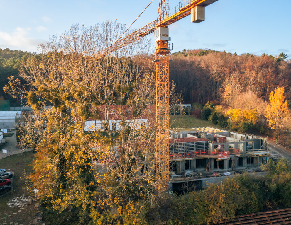 DJI_0662-HDR