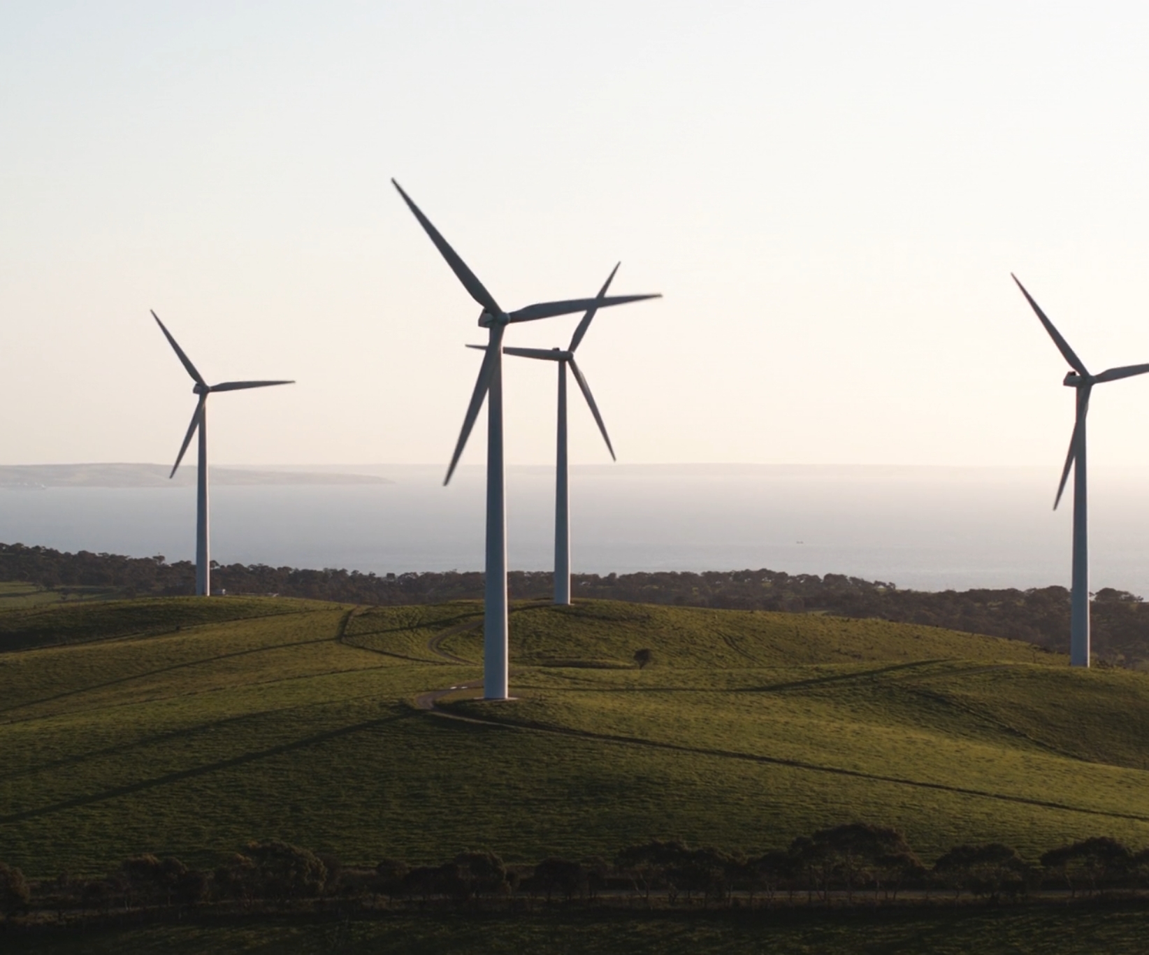 Ecologic-green